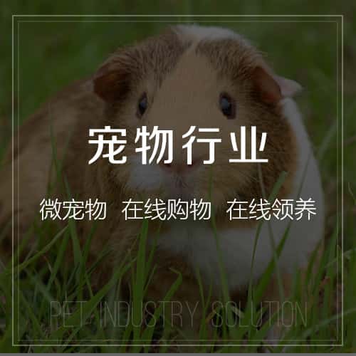 湘潭宠物